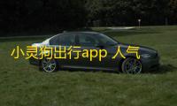 小灵狗出行app 人气热度：42℃